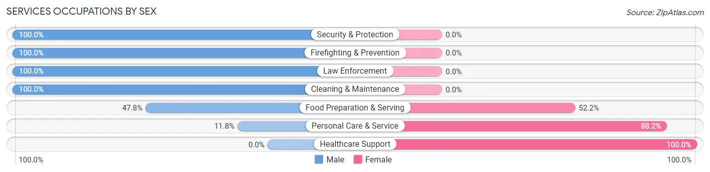 Services Occupations by Sex in Adamstown