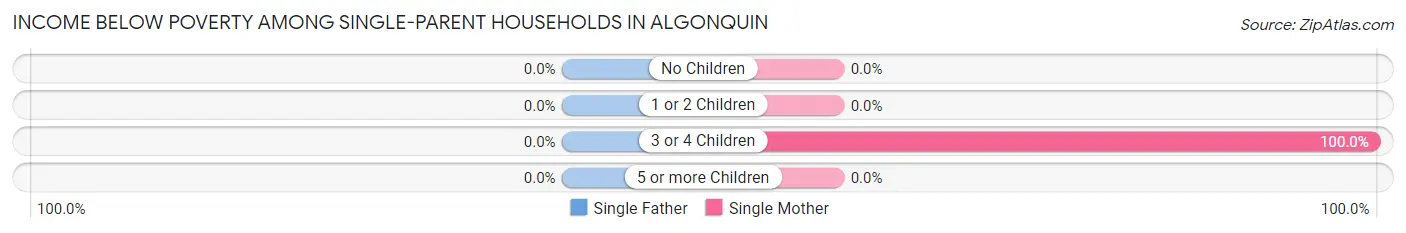 Income Below Poverty Among Single-Parent Households in Algonquin
