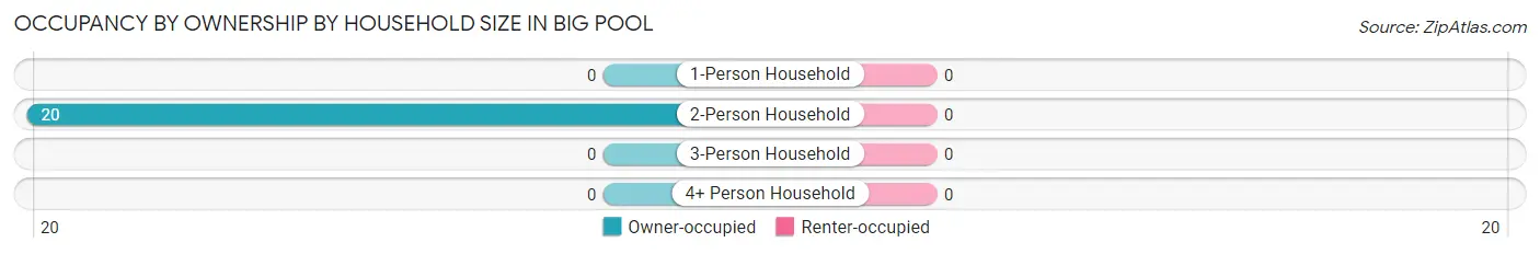 Occupancy by Ownership by Household Size in Big Pool