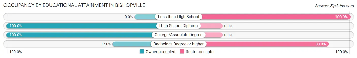 Occupancy by Educational Attainment in Bishopville