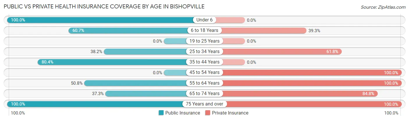 Public vs Private Health Insurance Coverage by Age in Bishopville