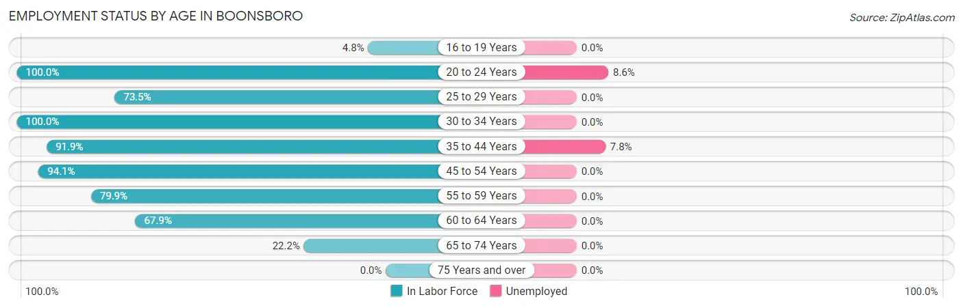 Employment Status by Age in Boonsboro