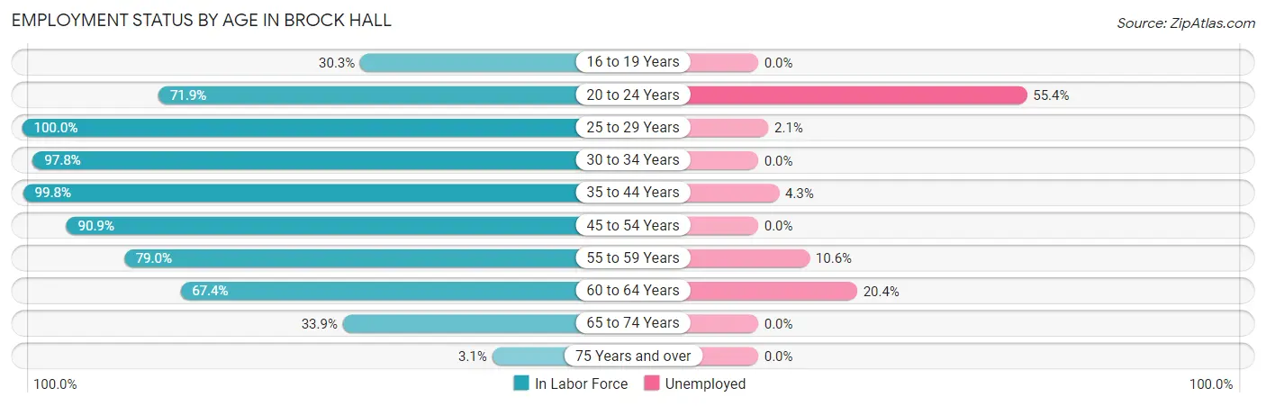 Employment Status by Age in Brock Hall