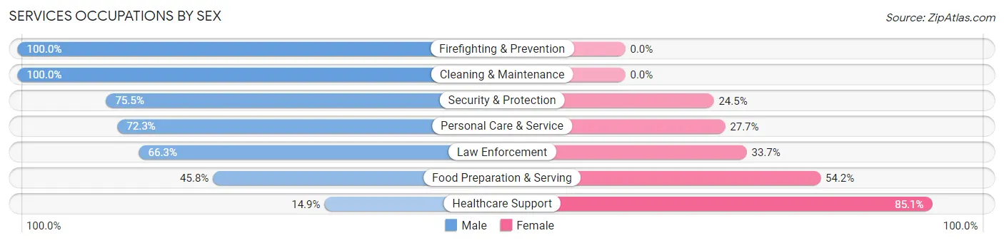 Services Occupations by Sex in Brock Hall
