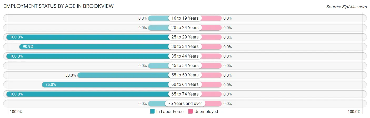 Employment Status by Age in Brookview