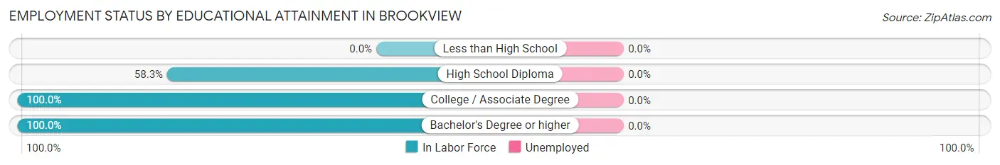 Employment Status by Educational Attainment in Brookview