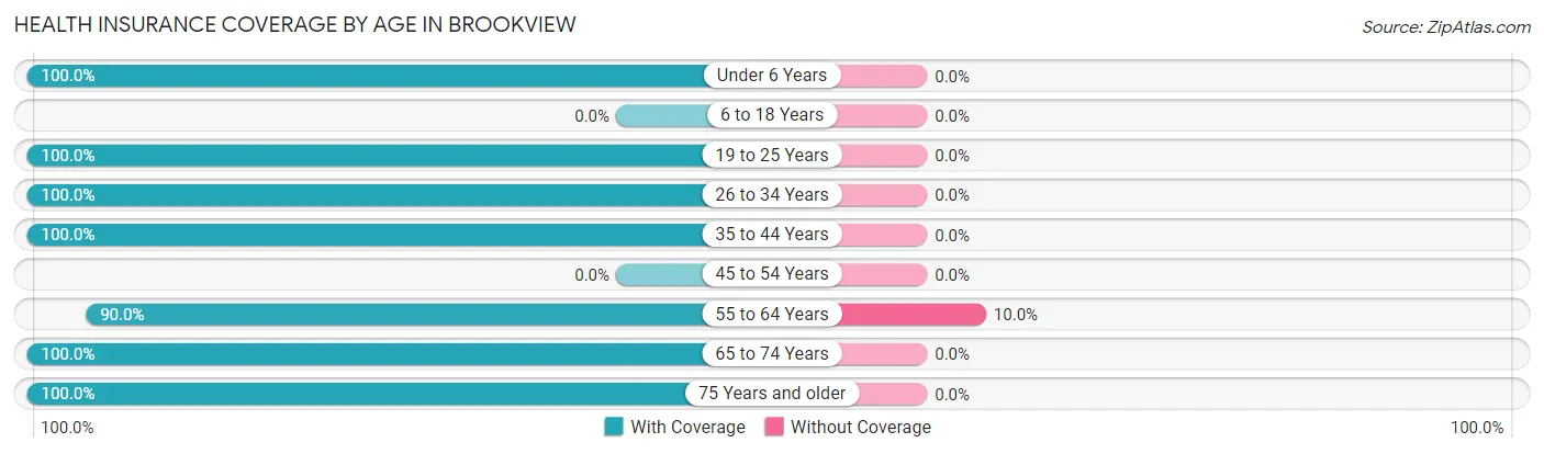 Health Insurance Coverage by Age in Brookview