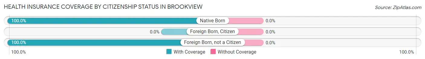 Health Insurance Coverage by Citizenship Status in Brookview