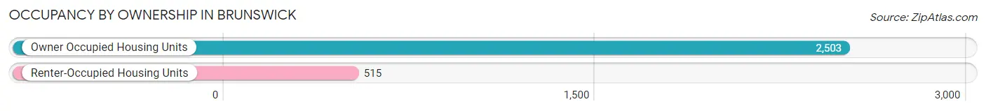 Occupancy by Ownership in Brunswick
