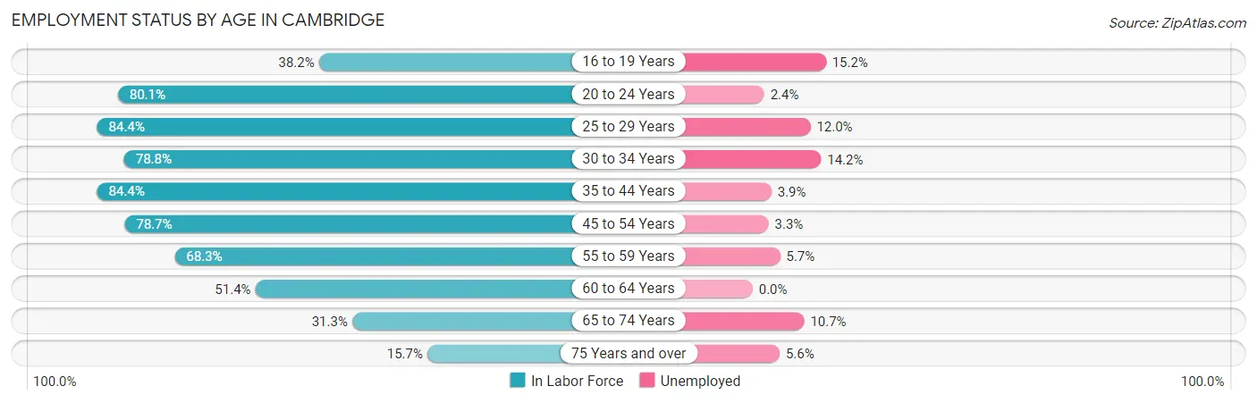 Employment Status by Age in Cambridge