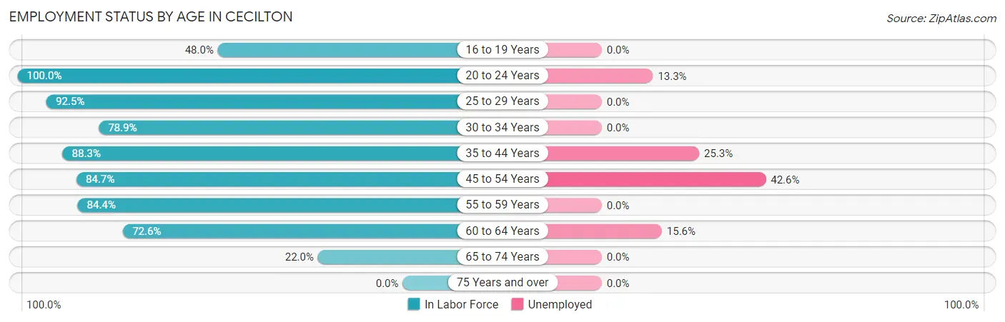 Employment Status by Age in Cecilton