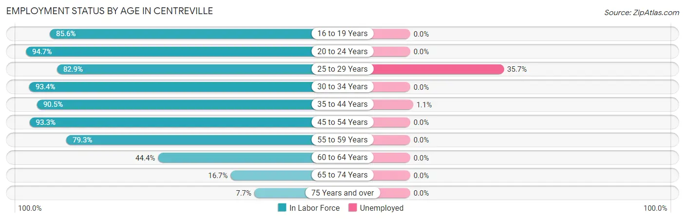 Employment Status by Age in Centreville