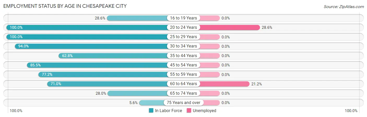 Employment Status by Age in Chesapeake City