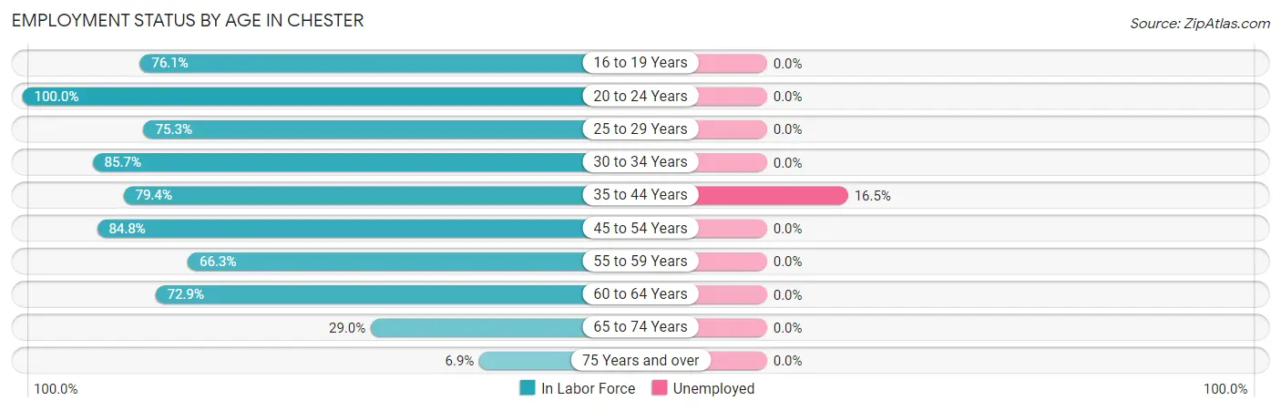 Employment Status by Age in Chester