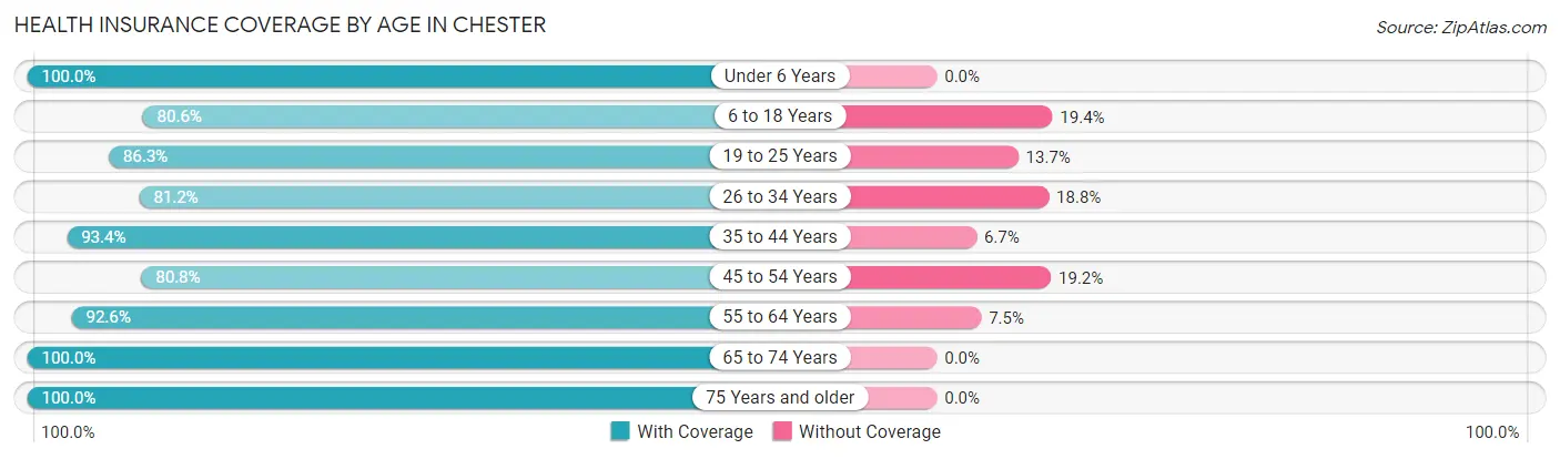 Health Insurance Coverage by Age in Chester