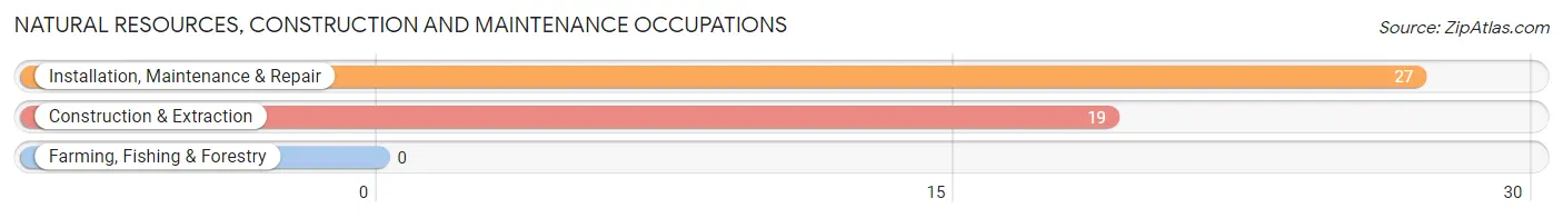 Natural Resources, Construction and Maintenance Occupations in Chestertown