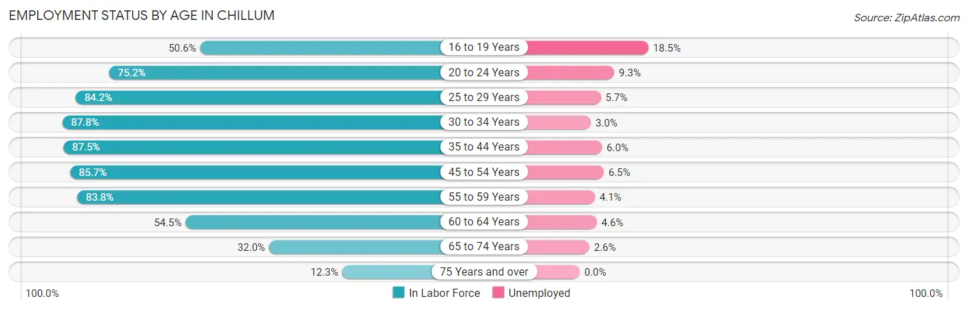 Employment Status by Age in Chillum