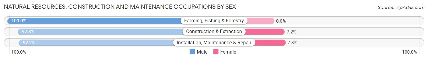 Natural Resources, Construction and Maintenance Occupations by Sex in Chillum