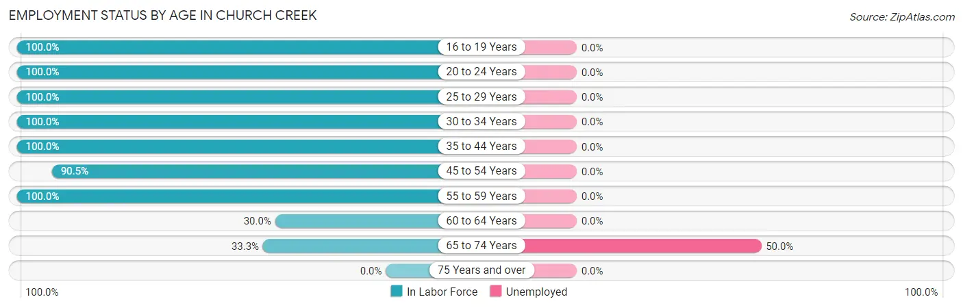 Employment Status by Age in Church Creek