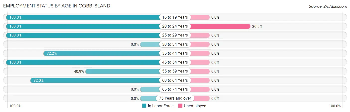 Employment Status by Age in Cobb Island