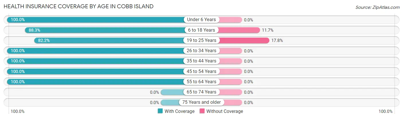 Health Insurance Coverage by Age in Cobb Island