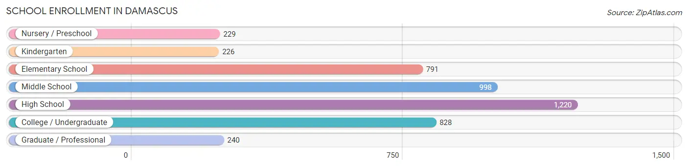 School Enrollment in Damascus