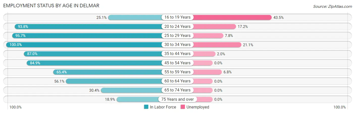 Employment Status by Age in Delmar
