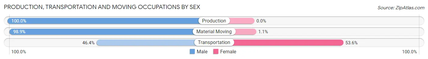Production, Transportation and Moving Occupations by Sex in Denton