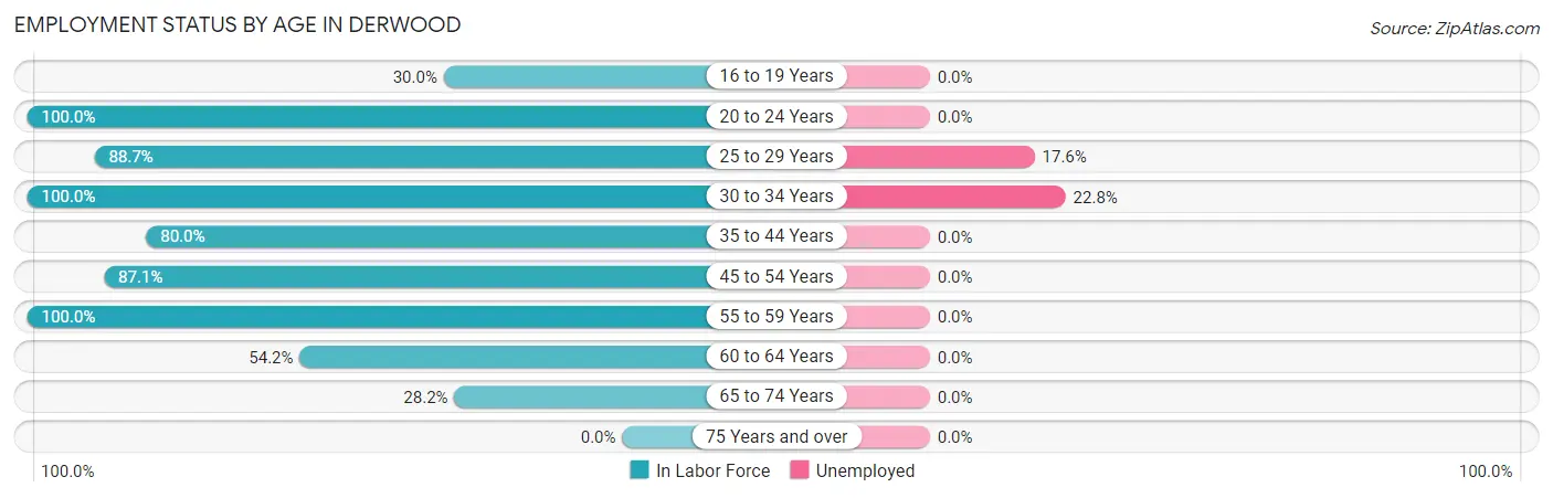 Employment Status by Age in Derwood