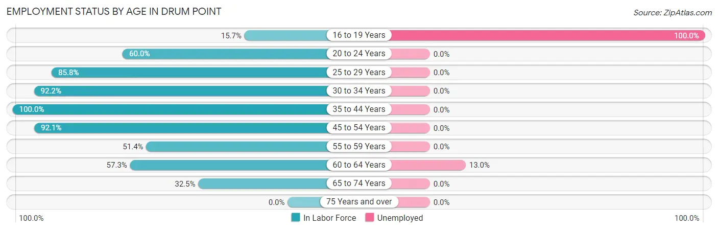 Employment Status by Age in Drum Point