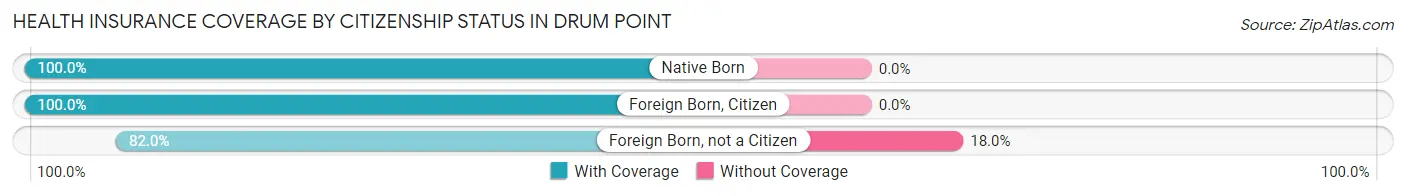 Health Insurance Coverage by Citizenship Status in Drum Point