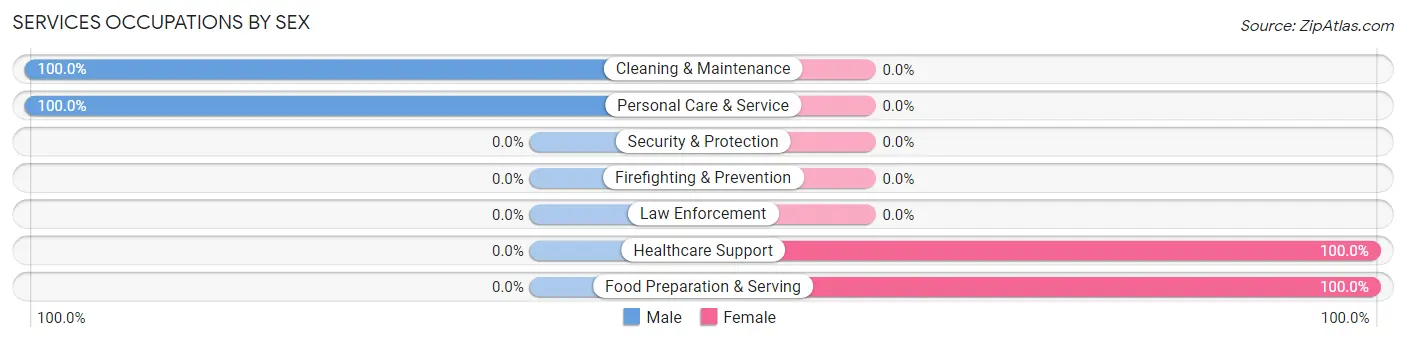 Services Occupations by Sex in Drum Point
