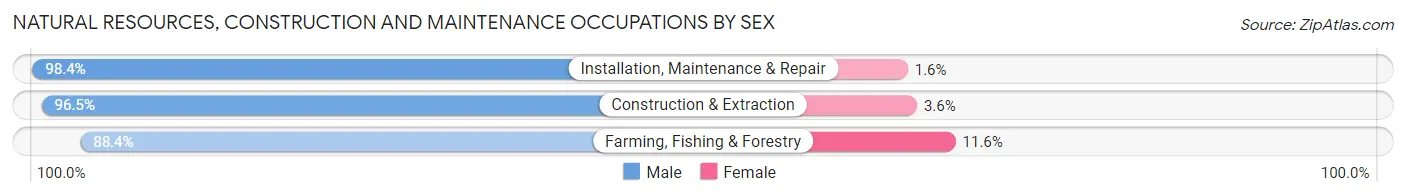 Natural Resources, Construction and Maintenance Occupations by Sex in Dundalk
