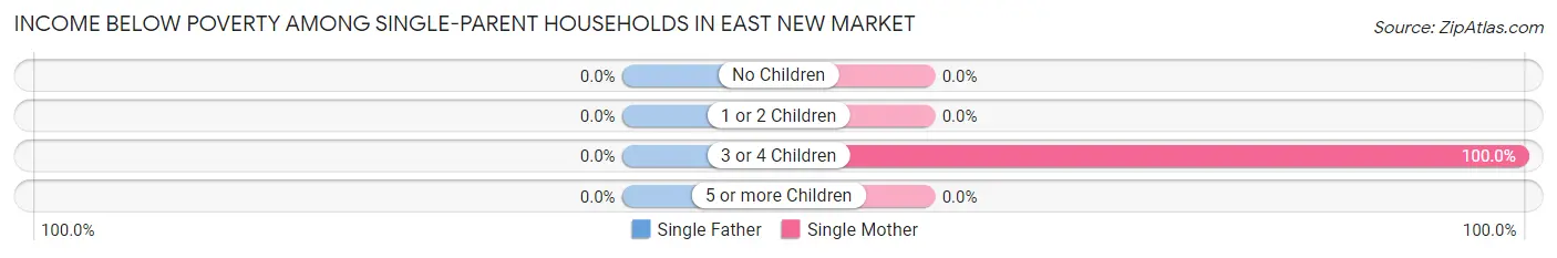 Income Below Poverty Among Single-Parent Households in East New Market