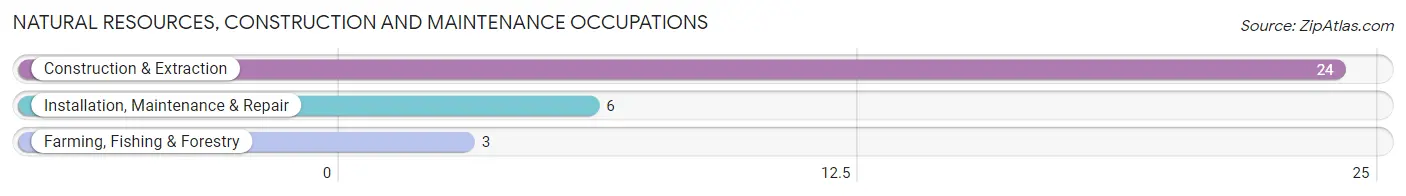 Natural Resources, Construction and Maintenance Occupations in East New Market