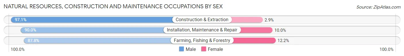 Natural Resources, Construction and Maintenance Occupations by Sex in Eldersburg