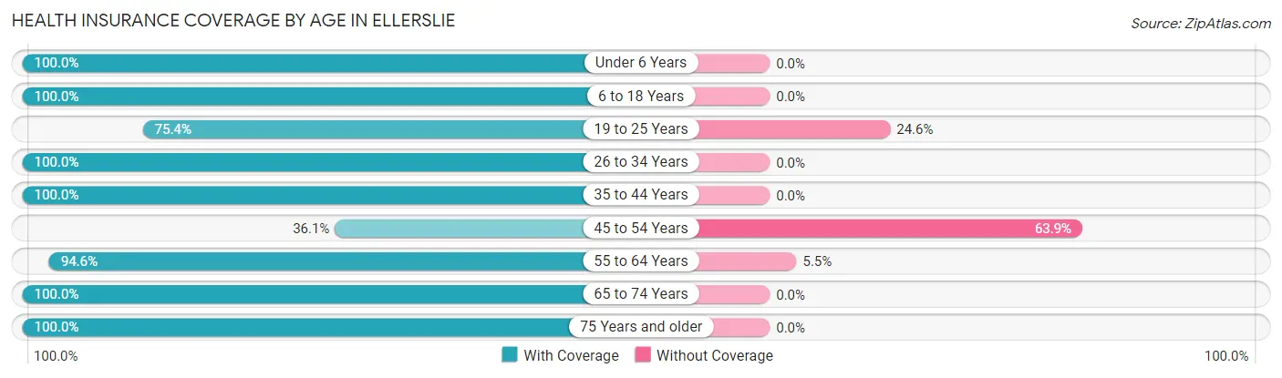 Health Insurance Coverage by Age in Ellerslie