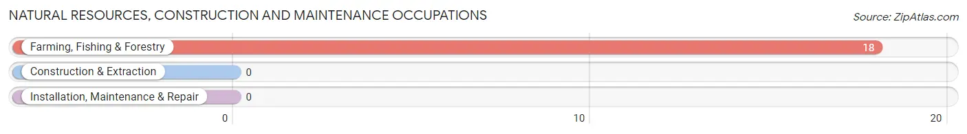 Natural Resources, Construction and Maintenance Occupations in Fishing Creek