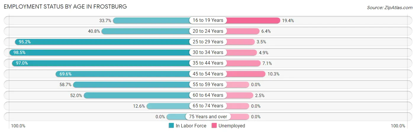 Employment Status by Age in Frostburg