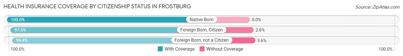 Health Insurance Coverage by Citizenship Status in Frostburg