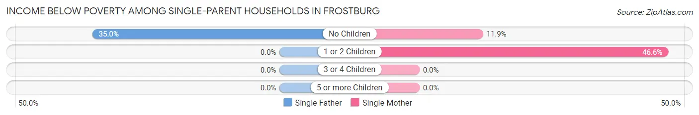 Income Below Poverty Among Single-Parent Households in Frostburg