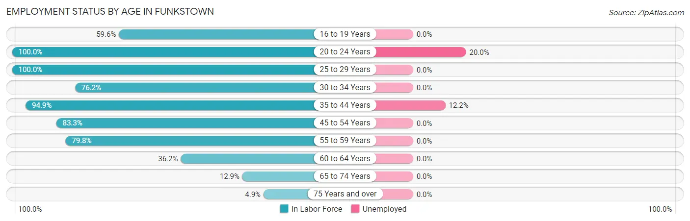 Employment Status by Age in Funkstown