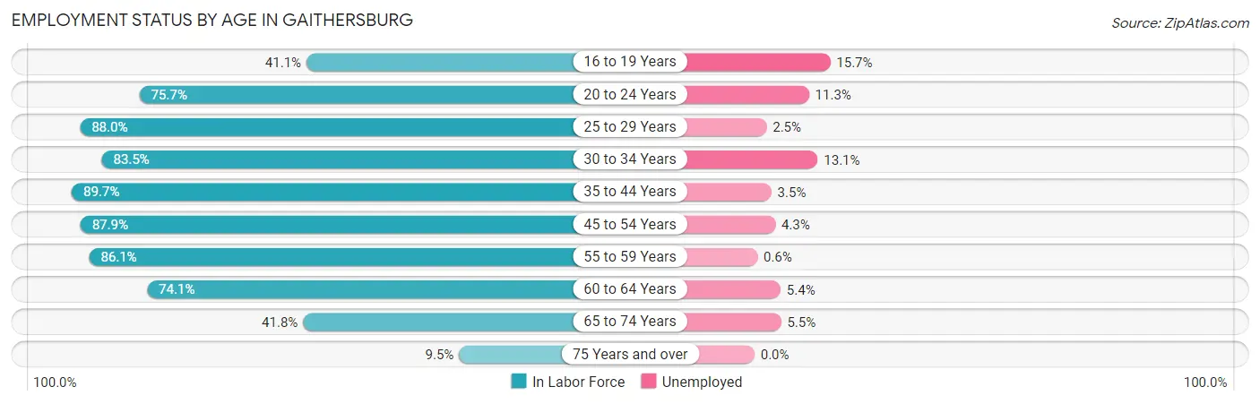 Employment Status by Age in Gaithersburg