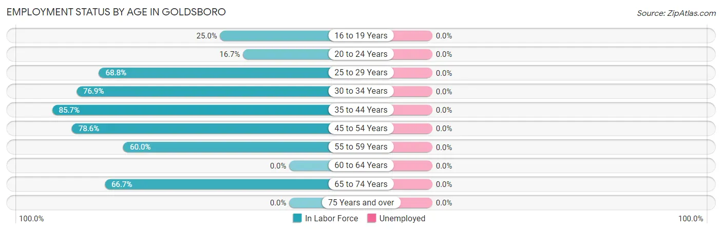 Employment Status by Age in Goldsboro