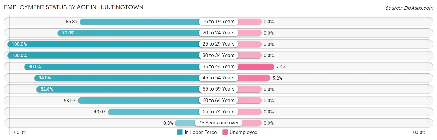 Employment Status by Age in Huntingtown