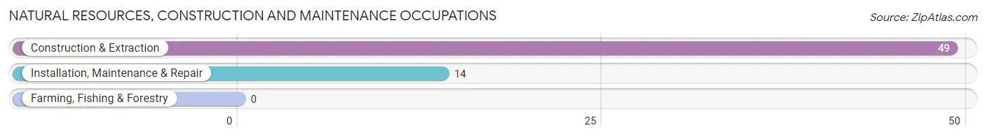 Natural Resources, Construction and Maintenance Occupations in Kensington