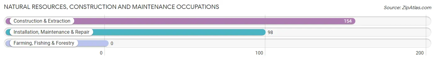 Natural Resources, Construction and Maintenance Occupations in Landover Hills