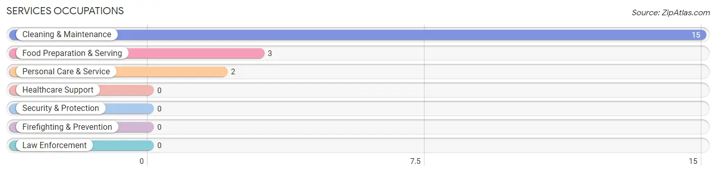 Services Occupations in Leitersburg