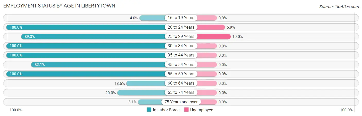 Employment Status by Age in Libertytown