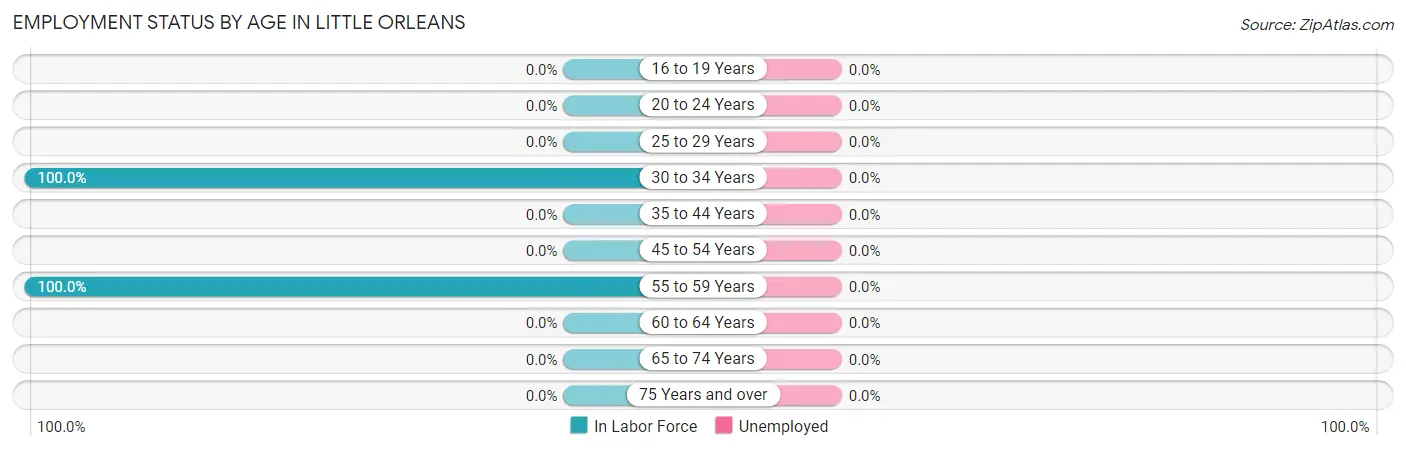 Employment Status by Age in Little Orleans